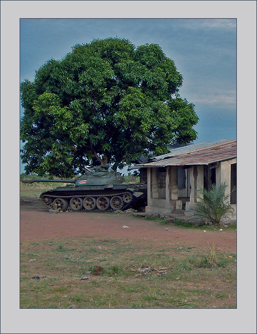 PageLines- underthemangotreew.jpg